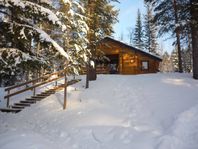 Mysig stuga i Björnrike, Vemdalen