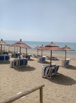 Costa del Sol - Marbella / Alicate Playa