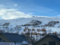 Stuga för familj, vänner, (hund) vid Hamrabacken, Tänndalen