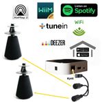 HALLAUDIO WiFi Streamer - Trådlös Audio till Beolab 5