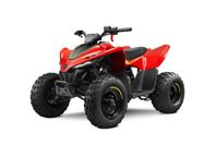 CFMOTO CFORCE 110 Efi barnmaskin