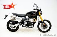 Triumph  Scrambler 1200 XE  2025 Omg. leverans