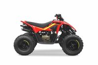 CFMOTO CFORCE 110 EFI