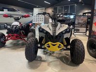 Can-Am Renegade STD 110 EFI