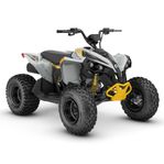 Can-Am Renegade  110 EFI