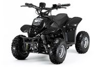 Brantech Racing Barn ATV el 1000W 70-E med back FRI FRAKT