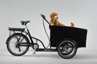 Cargobike Dog Electric Hydraulic Lådcykel