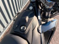 Rieju Drac Nightrider