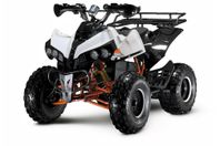 Brantech Racing Barn ATV EL 2000W Bullet med back  FRI FRAKT