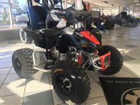 Can-am DS 90 X