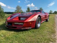 Chevrolet Corvette Stingray Greenwood Can Am Custom V8 1969