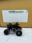 BRP Canam Ds90x