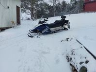 Ski-Doo GTX 550F 2008 381mil säljes i Härnösa - såld eller borttagen