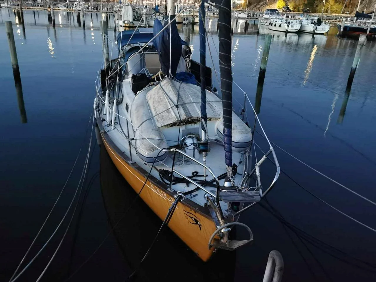 OE 32 image