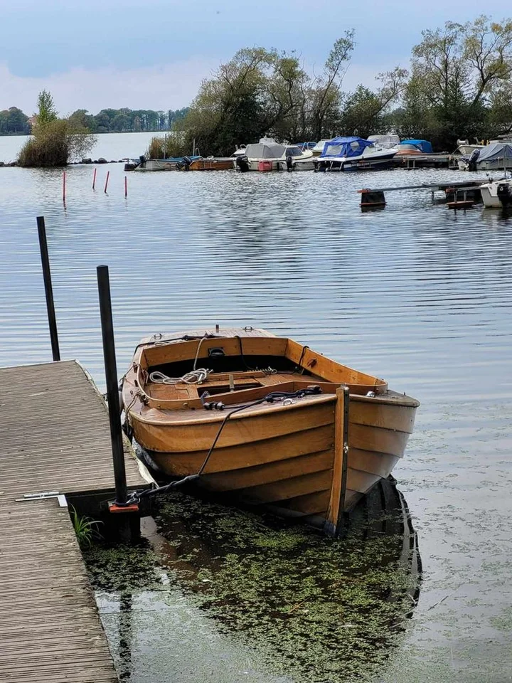 Träeka med mast. image