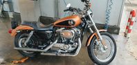 Harley Davidson sportster 1200 low 105th anniversary 