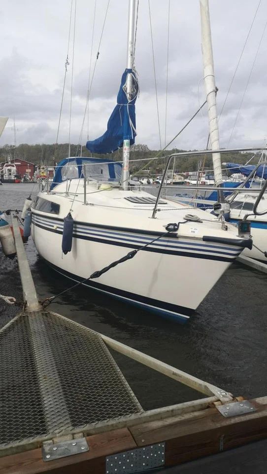 Sunwind 26 image