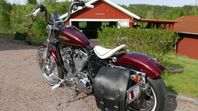 Harley Davidson XL 1200 V Seventy-Two Sportster