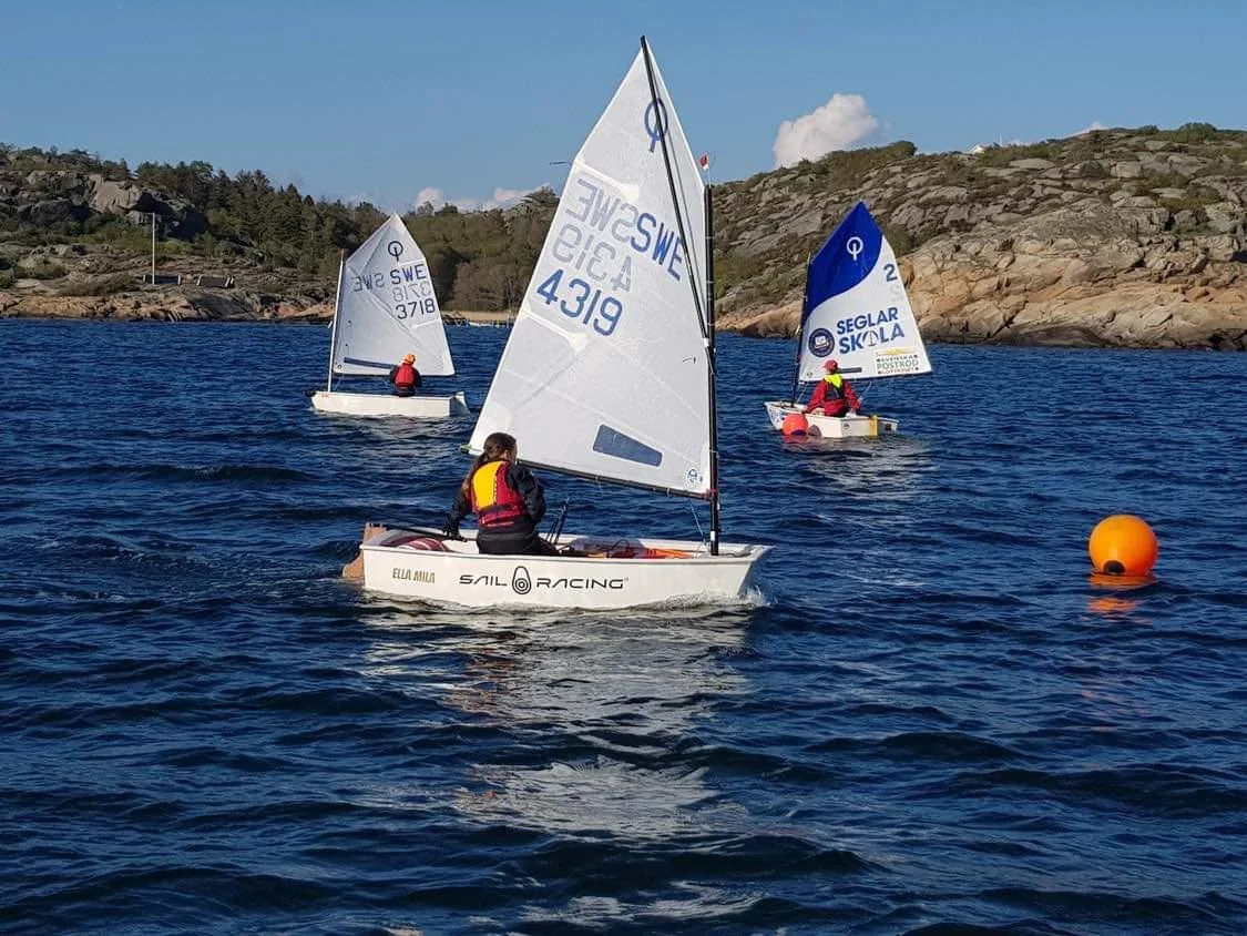 Optimist SWE 4319 image