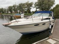 Sea Ray Sundancer 300