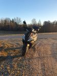 Moped MotoCR T-Rex 2021