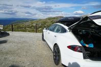Tesla 21” turbinfälgar med  bra Michelin däck