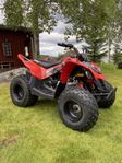 Can-Am Ds 90 i nyskick!