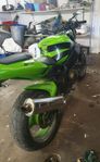 Kawasaki ZX Ninja 900. 2002a