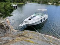 Sea Ray Sundancer 27