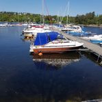 bayliner 2250 skagit