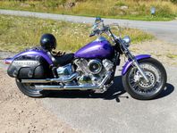 Yamaha Dragstar xvs1100 