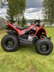Can-Am Ds 90 i nyskick!