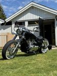 Honda shadow 750 bobber