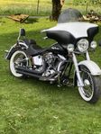 Harley softail delux