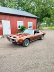 Pontiac Firebird pontiac firebird 1971