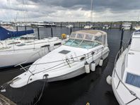 Sea Ray 250 Sundancer