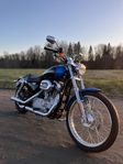 Harley Davidson 883 Custom