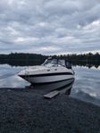 Searay 240 Sundancer 2001