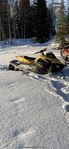 Skidoo mxz 800 r 