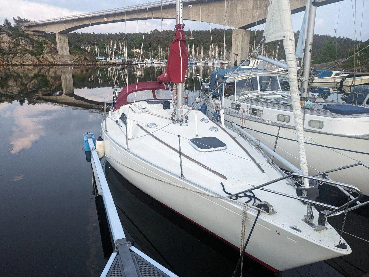 Scampi 30 (ny motor 2018) image