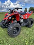 Can-Am DS 90