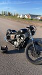 Honda shadow 600 bobber