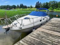 Sea ray sundancer 260