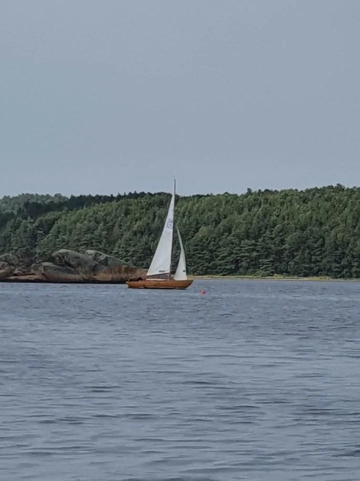 Folkbåt i mycket gott skick säljes image