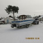 Bayliner 2459 Trophy 1988