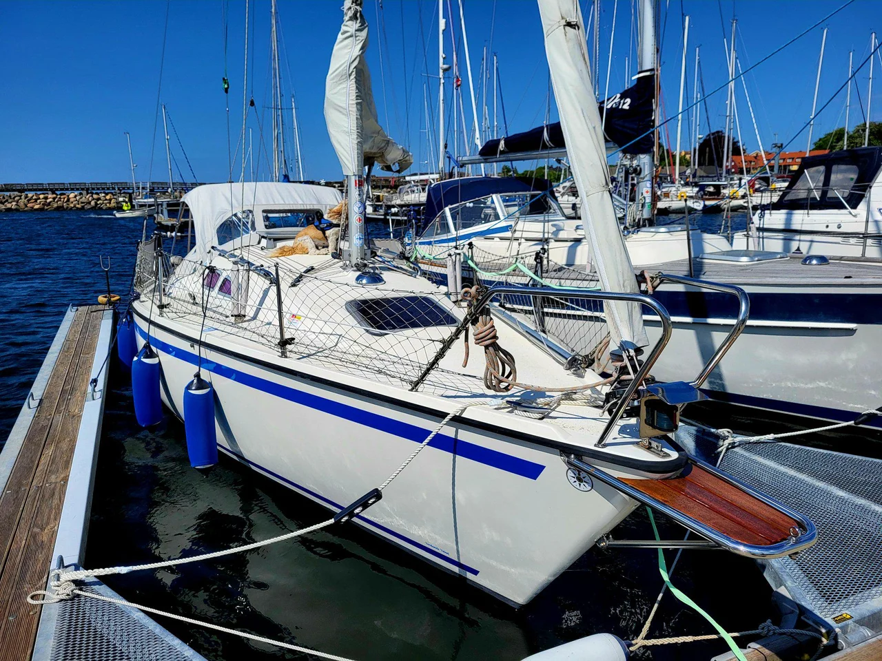 Aphrodite 25 image