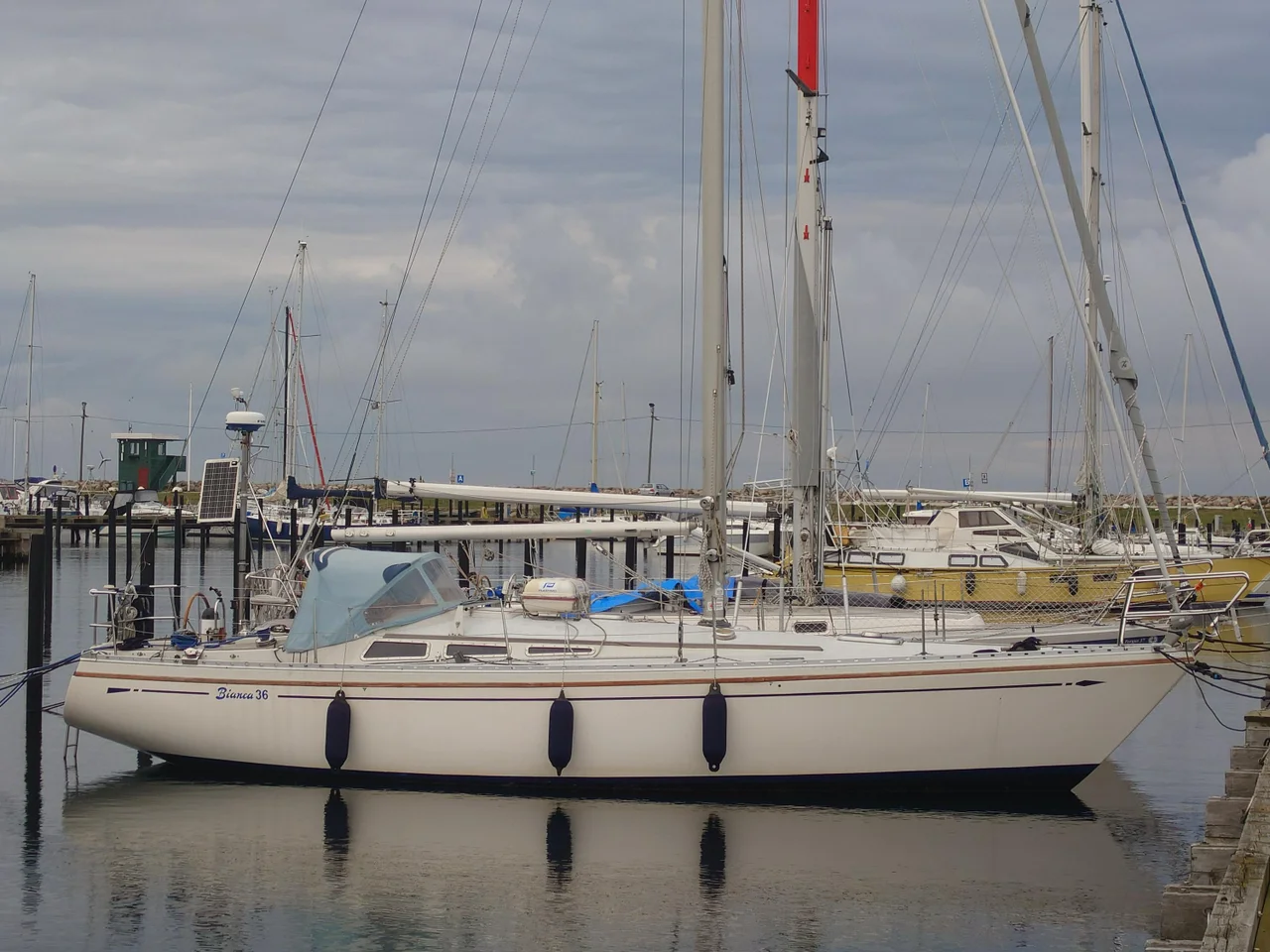 Bianca 36 image