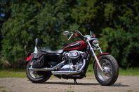Harley Davidson XL 1200C
