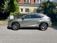 Lexus NX 300h AWD 2.5 AWD E-CVT Business Line Euro 6