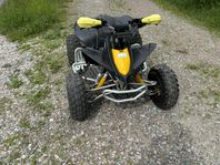 Can-am ds90x